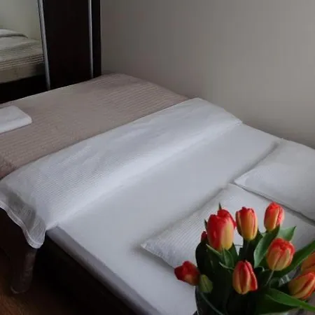Проживание в семье Irys 1 *